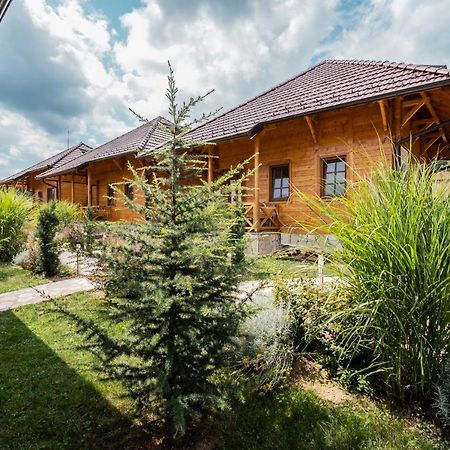 Vila Kedar Selo Goc Exteriér fotografie